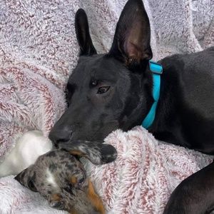 Meet your Posher, Adam